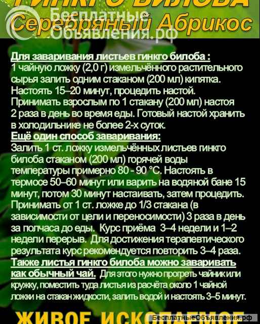 Функциональны чай. Листья Гинкго двулопастного Ginkgo Bilobae folia.