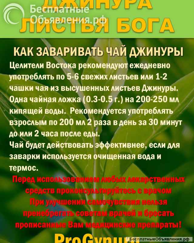 Фиточай Джинура Прокумбенс. Гинура. Сушёный лист.