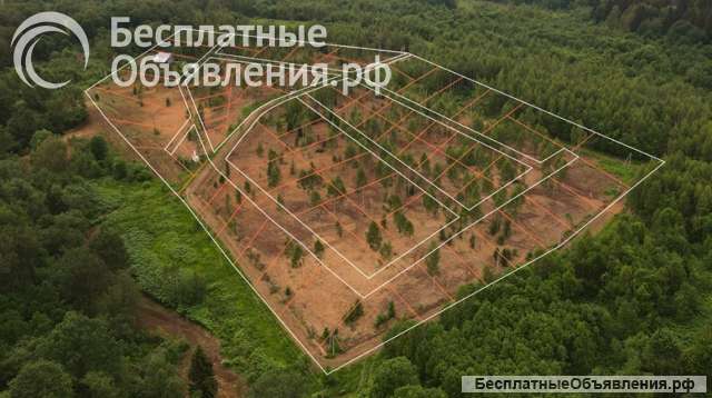 Прилесные участки с деревьями в новом КП «Радование-Парк»