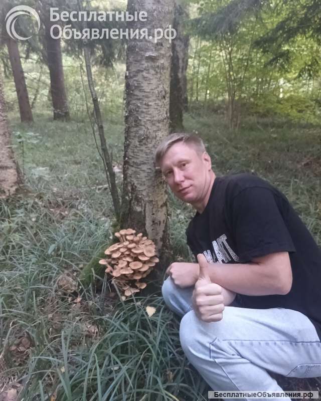 Ищу женщину