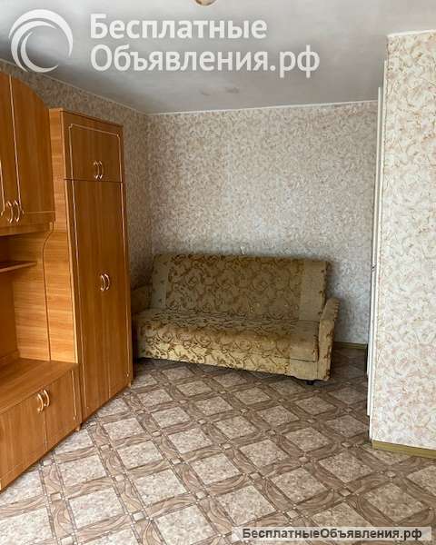 Сдам 1 к.кв. в Красном Селе СПб. Лучшее место.