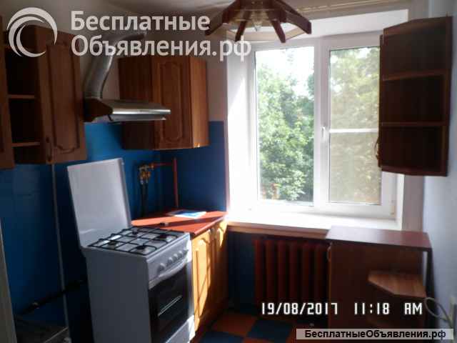 Сдам 1 к.кв. в Красном Селе СПб. Лучшее место.