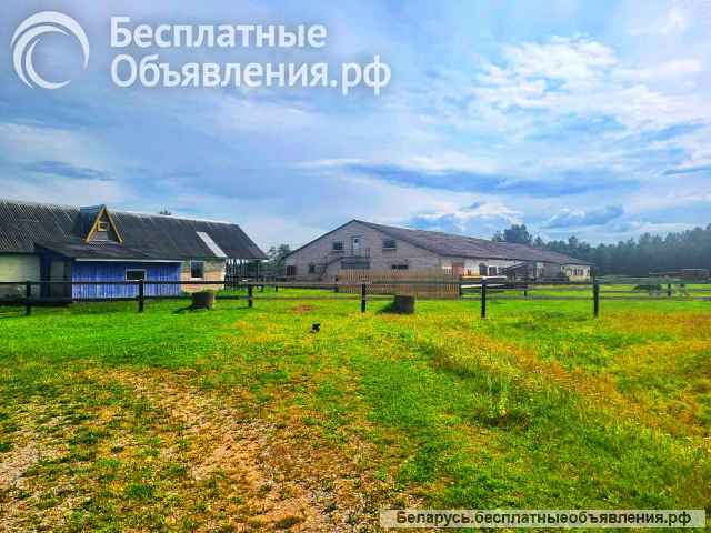 Готовый бизнес фермерское хозяйство