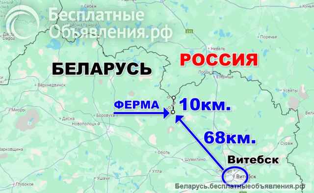 Готовый бизнес фермерское хозяйство