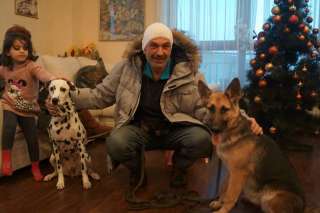 Дрессировка собак. Услуги зоопсихолога.