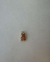 Кулон подвеска Sunlight мишка позолота бижутерия украшение украшения золотой золото медведь амулет