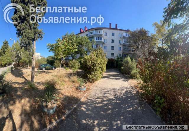 Квартира в Севастополе (Меньшикова)