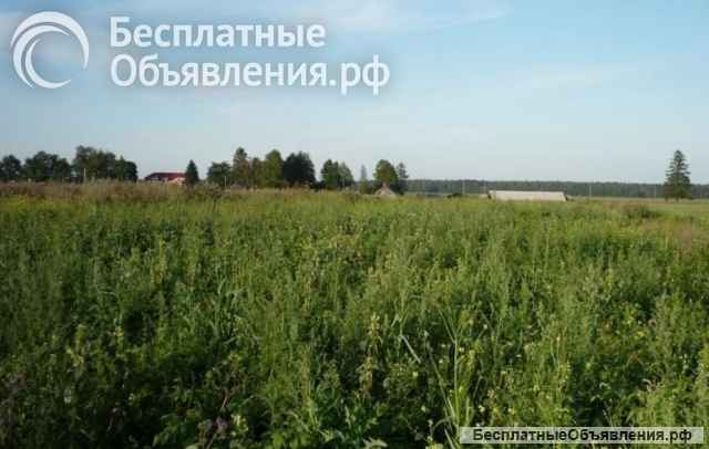 Участок 10 сот в Муракино