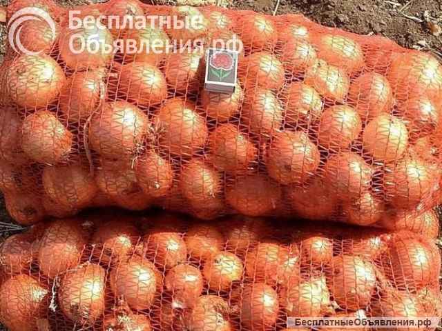 Овощи для борща оптом