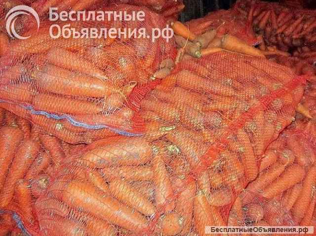 Овощи для борща оптом