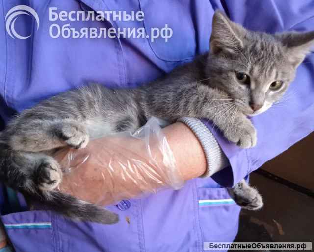 Красавица Ляся