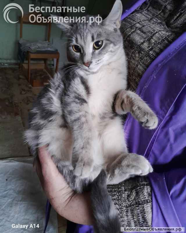 Красавица Ляся