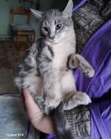 Красавица Ляся