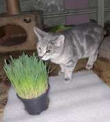 Красавица Ляся