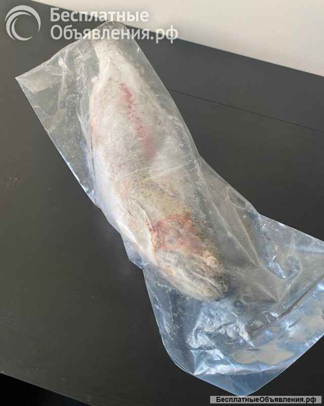 Свежемороженая рыба