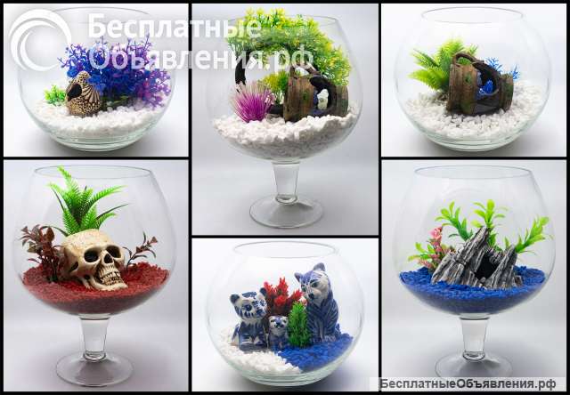 Аквариум для петушка под ключ