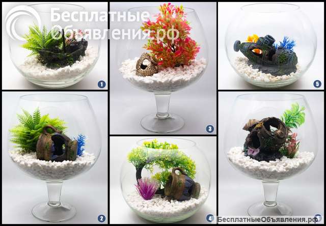 Аквариум для петушка под ключ