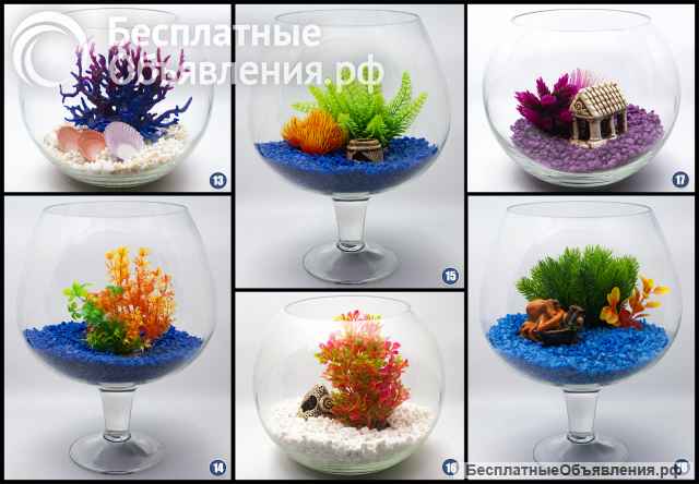 Аквариум для петушка под ключ