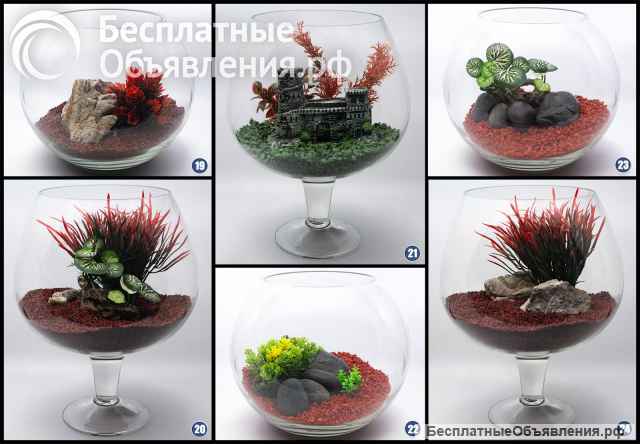 Аквариум для петушка под ключ