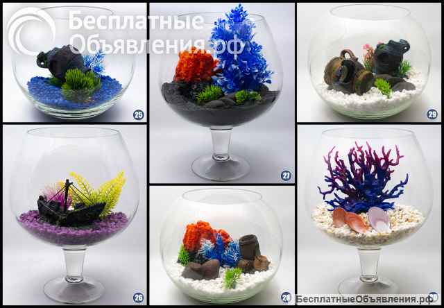 Аквариум для петушка под ключ