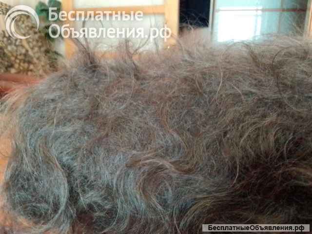 Шаль пуховая