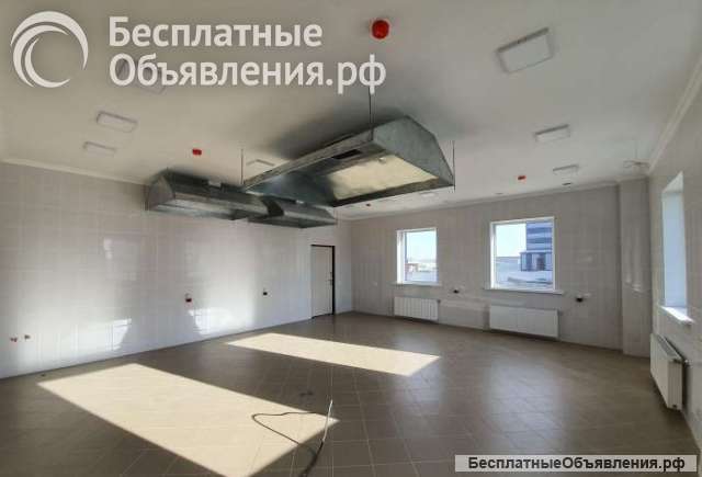 Помещение под пищевое производство на Московском ш
