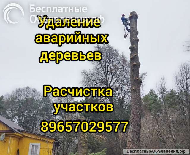Спил и обрезка деревьев, расчистка участка