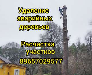 Спил и обрезка деревьев, расчистка участка