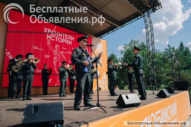 Музыкант в оркестр (контракт)