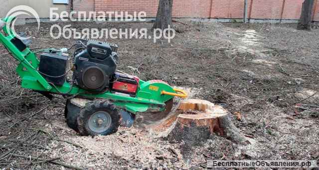 Спил деревьев в Краснодаре