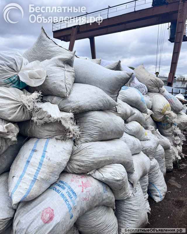 Пункт приёма чаги