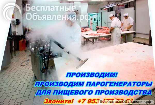 Парогенератор для пищевой промышленности