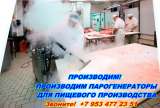 Парогенератор для пищевой промышленности