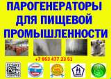 Парогенератор для пищевого производства