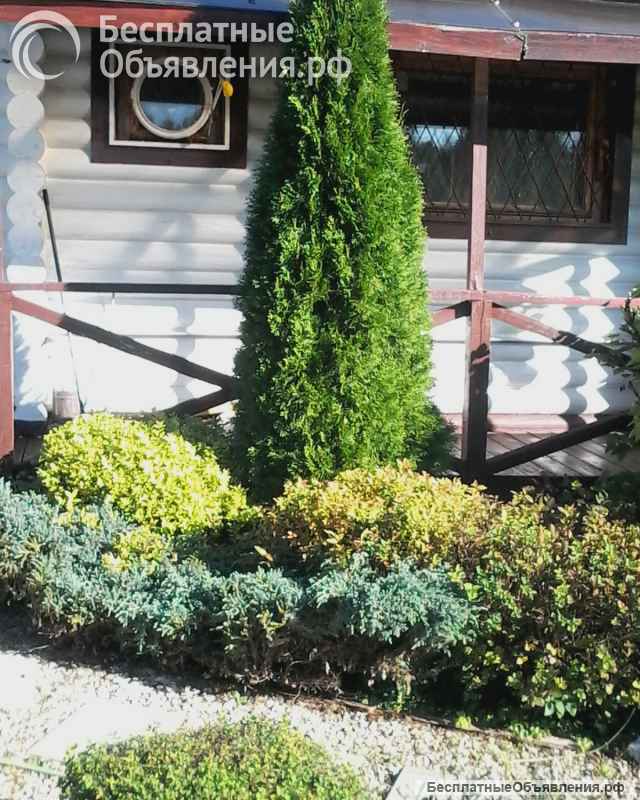 Два дома (один жилой 65 м кв в ПГТ Троицкое Чех ГО МО) на комнату от 25 кв центре Москвы