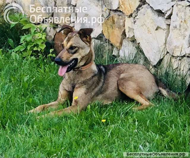 Скромная Дина