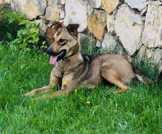 Скромная Дина