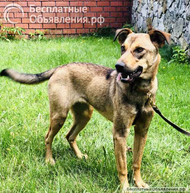 Скромная Дина