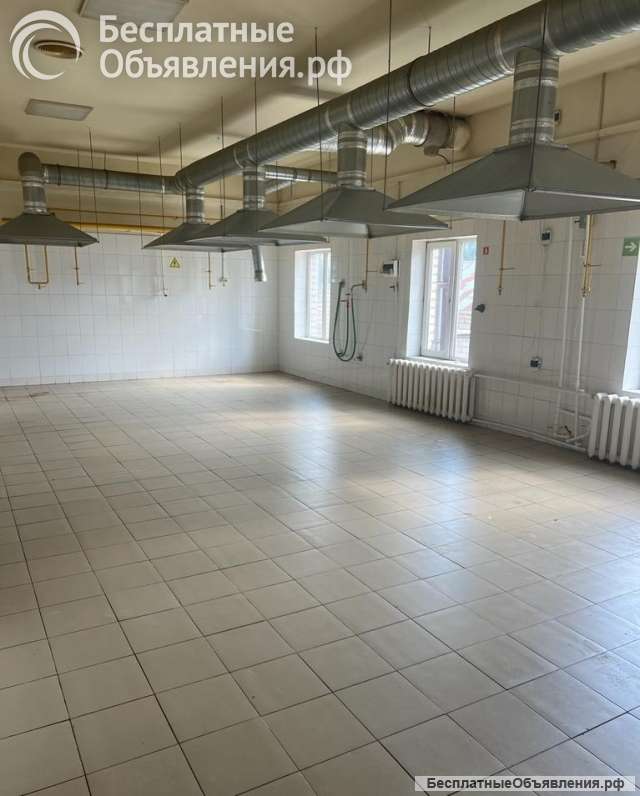 Аренда помещения под пищевое производство, цех площадью 150м2