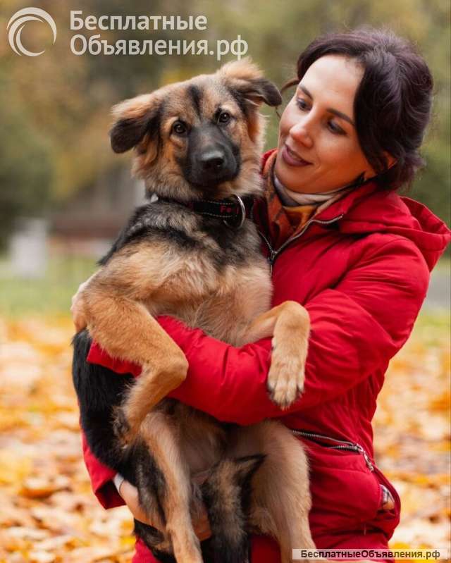 Соня в поисках семьи