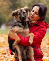 Соня в поисках семьи