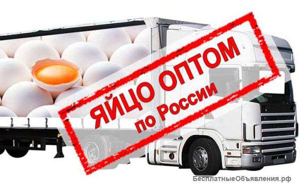 Яйцо куриное оптом производство РФ