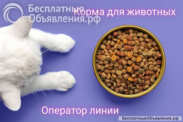 Оператор линии