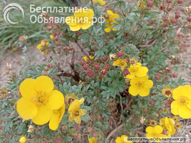 Красивое нижнее бельё