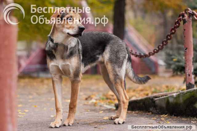 Харт ищет тех, кто станет его настоящей семьёй