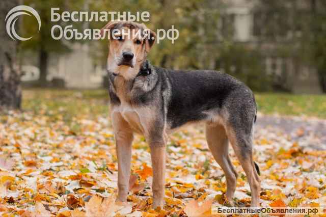 Харт ищет тех, кто станет его настоящей семьёй