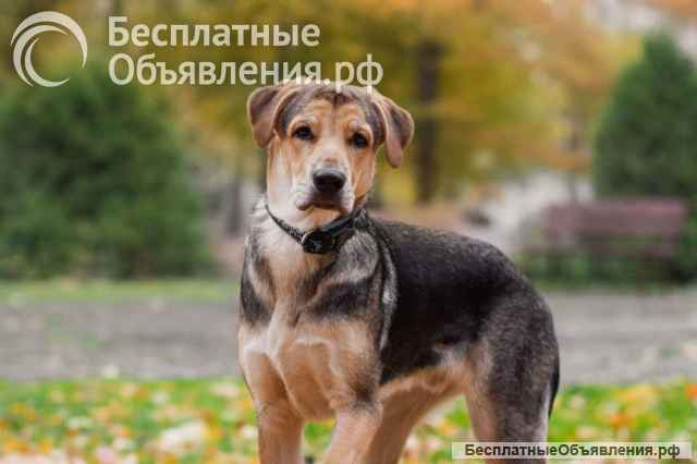 Харт ищет тех, кто станет его настоящей семьёй