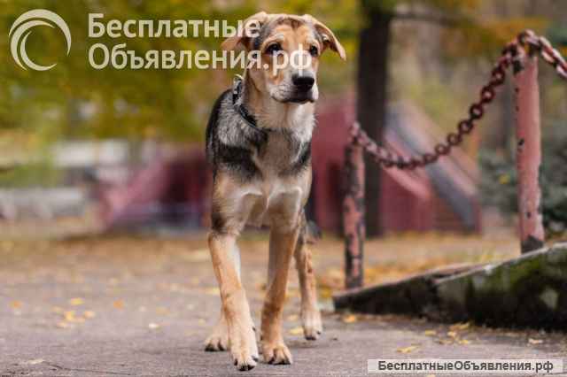 Харт ищет тех, кто станет его настоящей семьёй