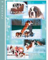 Щенки СЕНБЕРНАРА (Великан, Друг, Сторож, Няня)