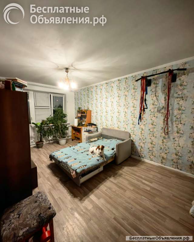 Квартира в провинциальном г. Зарайске Московской обл.